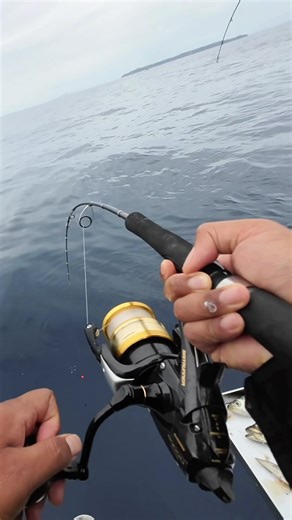 Epic Snapper Fishing Adventure in Auckland