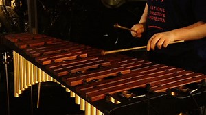Xylophone playing performance from a young musician