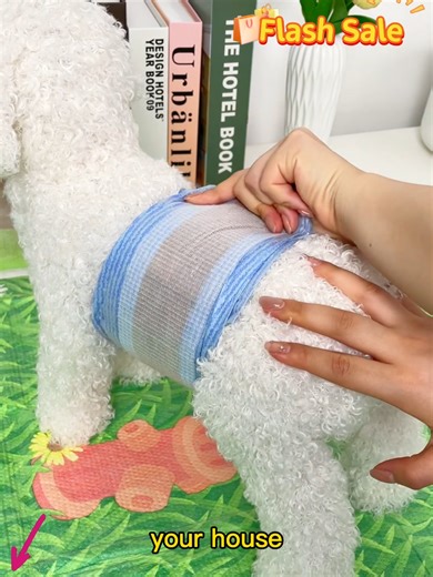 My dog lost bladder control. Honeycare Diapers provide total protection. Huge Discount in the yellow basket#dogdiapers #dogsofttiktok #petsoftiktok #honeycare #mypet