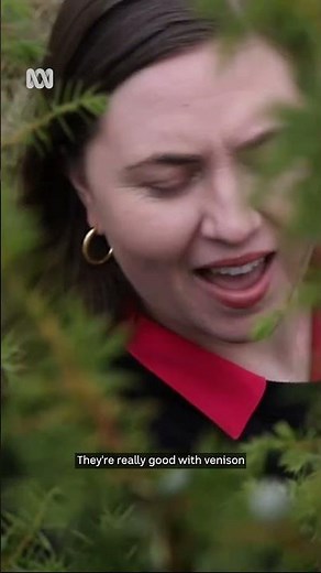 Have you ever tried a juniper berry? | ABC Australia