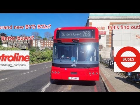 [3RD DAY] Exploring the BRAND NEW BYD B12s on Route 268! [NEW ALLOCATION]