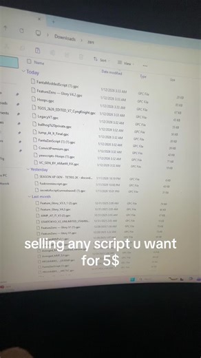 Affordable Script Selling Services on Discord