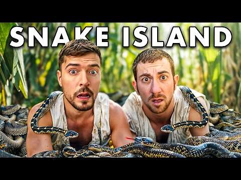Surviving 24 Hours On Snake Island With MrBeast