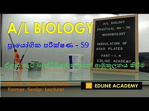 Microbiology Practical No 13 Inoculation of nutrient agar plates. Advanced Level Biology Practicals