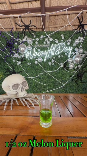 Who you gonna call? The Ghostbuster 👻💥 | Holiday Inn Resort Panama City Beach