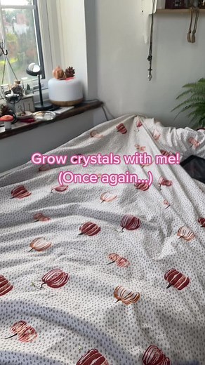 SprInKLe✨🤣#fypシ