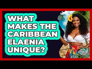 What Makes the Caribbean Elaenia Unique?