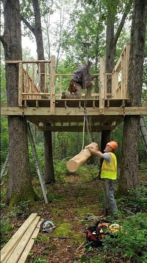 Living in the trees 🌲🏡 | Log Treehouse From Scratch
