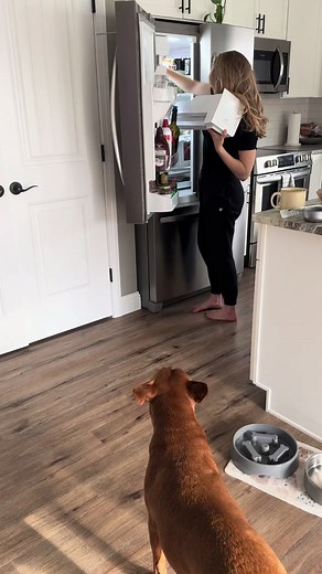 Troubleshooting a Broken Ice Maker in the Fridge