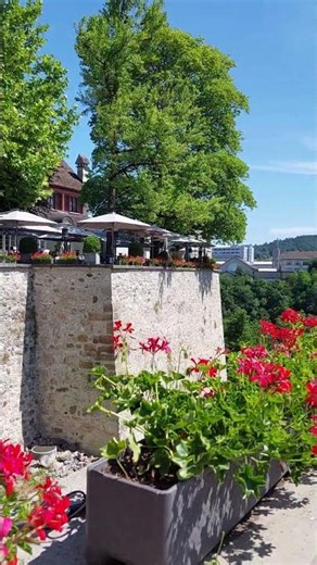 Beautiful summer in Reinfall Switzerland #shortsvideo