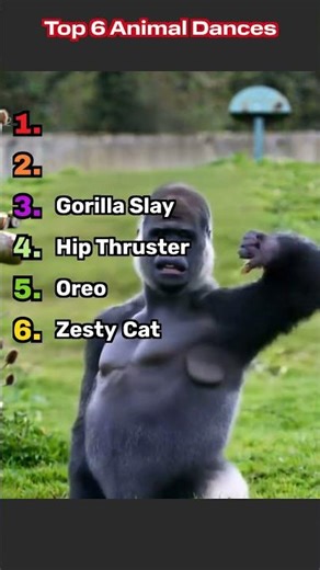Top 6 Animal Dances