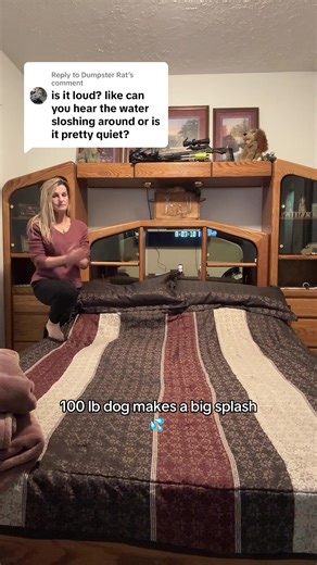 Divertido momento con un perro sobre una cama de agua