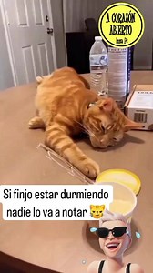 28K views · 391 reactions | A corazón abierto on Reels | Facebook