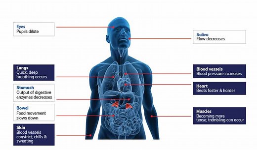 NOL® Technology by Medasense || Control Pain | Avoid Overdose | Eliminate Doubt