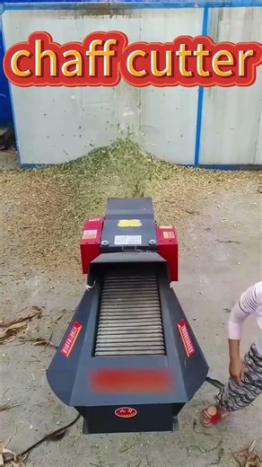 High Efficiency Chaff Cutter |Turn Straw into Perfect Animal Feed#chaffcutter #agriculture #farming