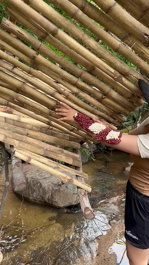 How to Safely Remove Ticks from Your Ears - Expert Tips