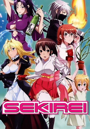 Sekirei (2008)