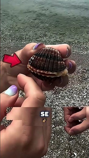 MALE OR FEMALE MOLLUSK?😱🐚