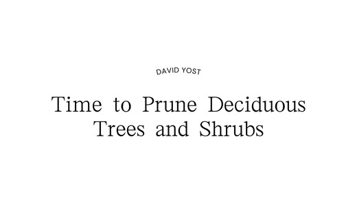 1.6K views · 22 reactions |  Watch now to master the art of pruning and keep your trees flourishing for years to come!  #PruningTips #HealthyTrees #TreeCare #Gardening #DeciduousTrees #TreeMaintenance #GreenThumb #merrifieldgardencenter | Merrifield Garden Center | Facebook