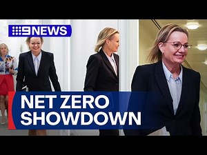 Liberal Party set to ditch pledge to reach net-zero carbon emissions | 9 News Australia