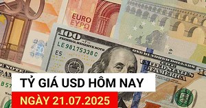 USD exchange rate today 21.7: Increased at the beginning of the week