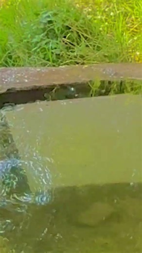 💦🌊🔱❤️‍🩹