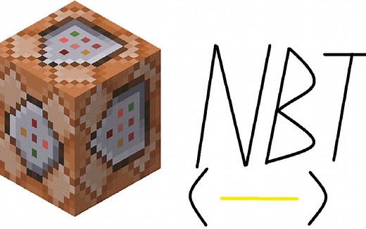 【Minecraft Java 1.19】命令教学系列 之 NBT标签（1）