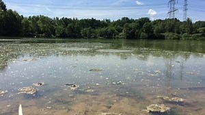 SLOW MOTION CARP JUMP Like Hunter & fishing or awesome fishing videos. youtube; https://www.youtube.com/watch?v=OCRe6x5mkGg | Hunter & fishing