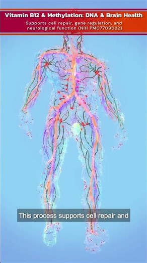 WARNING! Low B12 Levels Could Cost You THOUSANDS in Nerve Damage. #vitaminb12 #nervehealing