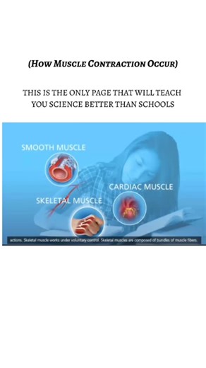 Science ~ on Instagram: "Muscle contraction occurs through a process known as the sliding filament theory, which begins when the central nervous system sends an electrical signal, or action potential, to a motor neuron. This signal triggers the release of the neurotransmitter acetylcholine at the neuromuscular junction, which stimulates the muscle fiber's membrane and causes the release of calcium ions from the sarcoplasmic reticulum. These calcium ions bind to a protein called troponin, which s