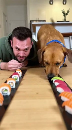 Hilarious Sushi Eating Competition – Dog Takes Lead!