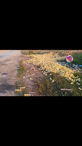 117K views · 2K reactions | Why Frosty Juice is in Garbage??? Is there any problem with frosty juice??? Stop drinking Frosty Juice #virals #viralvideo #viralpage #viralpost #WorldEnvironmentDay #saveenvironment #viralpost2023 #FBVIDEO | Mukhtar The Speaker | Facebook