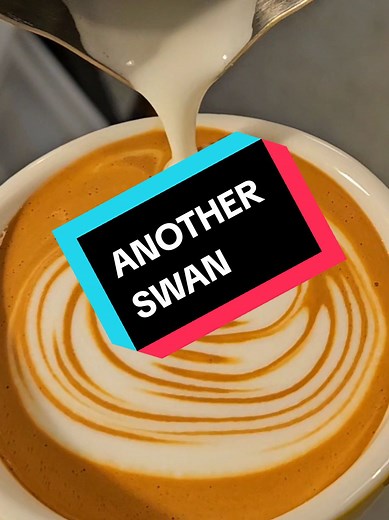 Swan with flat white foam #barista #latteart #latte #coffeetiktok
