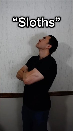 Learn ASL “Sloths” #asl #americansignlanguage #deaf #hardofhearing #education #english #sloth #fun