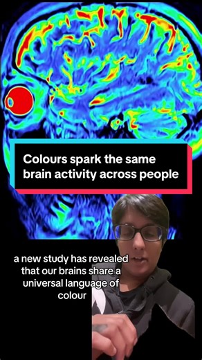 New Study Reveals Shared Brain Activity with Colors