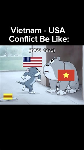 Vietnam - USA Conflict Be Like: #historymemes #history #humour #jokes
