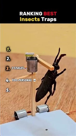 Ranking Best Insect Traps #USA