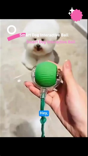Smart Dog Interactive Toys Electric Jump Ball Automatic Pet Exerciser Chew Resistant for Small Dogs
