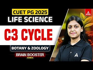 What is C3 Cycle? CUET PG Life Science, Botany and Zoology 2025