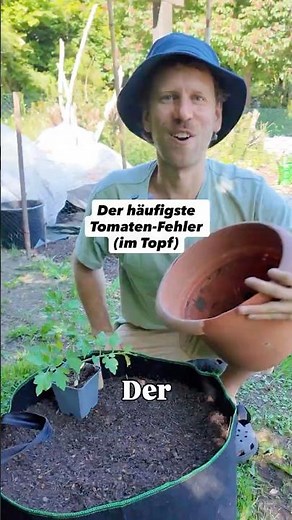 Tomaten im Topf pflanzen: Der häufigste Fehler