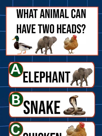 Test Your English Skills with This Fun Quiz Challenge