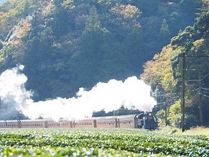 大井川鉄道 SL 2016年総集編