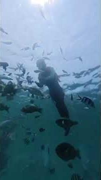 혼문섬 스노클링 어드벤처 & 수중촬영 #혼문섬스노쿨링 #나트랑미니비치 #minibeach #snorkelingtour #underwaterphotography