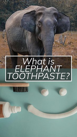 Bring the STEM Families excitement home! 🔬💡 Get the whole family involved with easy, fun, hands-on activities designed to spark young minds! 🧪👨‍👩‍👧‍👦 Let’s explore, create, and learn together at PTA.org/STEM! 🌟 #STEMDay #PTAProud #PTASTEMFamilies | National Parent Teacher Association