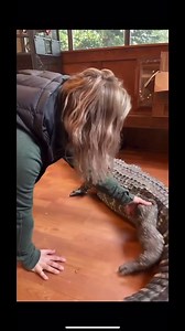 3.8M views · 56K reactions | Sully’s first check up, he was up in the cabin with us, not wanting to leave the heating vent! He’s grown so much now and has become somewhat of “the boss” in the alligator enclosure. #alligator #rescue #sanctuary #Gators | Because We Matter | Facebook