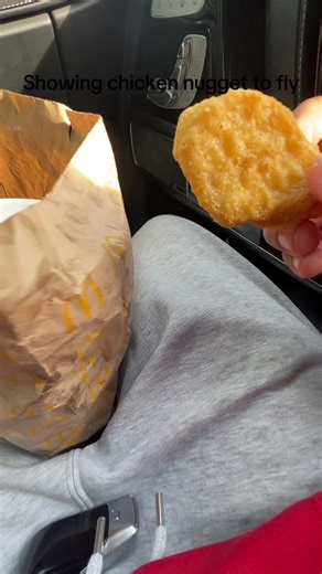 Chicken Nugget Tries to Fly