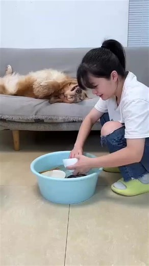 Exploring the Future of AI with BalliBotMogis