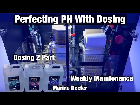 Perfecting PH in a Reef Tank With Dosing and Weekly Maintenance