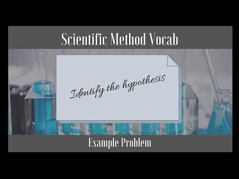 Scientific Method Vocab: Hypothesis Example