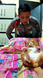 Kucing Oren Menggemaskan Jadi Bintang TV
